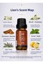 Leo Zodiac Sign Essential Oil Blend, 10 ml - 4