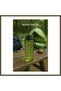 Water Bottle & Sports Water Bottle, Green, 1000 ml, BX