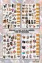 MEMES FUNNY CAT, CAT 4 PAGES, Sticker, Decal, Journal, Planner, Bullet