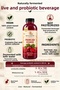 Beet Kvass 500ml - Fermentation with Kefir Juice - Naturally Fermented (12-Pack Pet Bottles) - 2