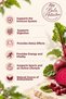 Beet Kvass 500ml - Fermentation with Kefir Whey - Naturally Fermented (Pet Bottle) - 5