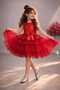 Red Girl's Tulle Evening Dress Party and Birthday Dress