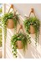 Basket 3-Piece Mini Basket Organizer (Plants and Hangers Not Included)