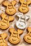 Cute Rudolph Deer Themed Cookie Mold