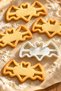 Halloween Halloween Themed Bat Shaped Cookie Mold
