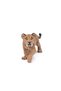 Figurina Smilodon Tanar - 3