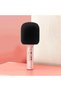 Karaoke Bluetooth Microphone: Portable 2-in-1 Wireless Microphone...