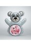Blue Teddy Bear Print Pillow with Cute Flamingo Design - 1