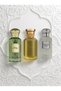مجموعة عطور فاخرة - Zeleny و Exotic و Couture Noir (3 × 100 مل)