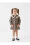Girls' Lace-Collar Leopard Print Dress, Ages 2–8
