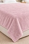 Double Welsoft Blanket 220X240 Large Size Blanket Soft Soft Textured - 3
