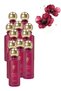 11 قطعة من عطر First Lady بحجم 200 مل