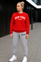 ZERO-NECK BRUSHED INSIDE TRACKSUIT, SEASONAL, WITH "NEW YORK, U.S.A." PRINT, WOMEN'S / MEN'S UNISEX STYLE