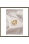 Gold-Colored Metal Butterfly-Style Women's Ring BX