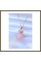 316L Stainless Steel Gold-Colored Crystal Pink Stone Women's Necklace Model BX