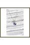 316L Stainless Steel Chain, Silver-Toned, Evening-Style, Zircon-Set Women's Necklace BX