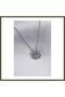 316L Stainless Steel Silver-Colored Drop-Style Clover-Shaped Women's Necklace BX