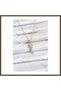 316L Stainless Steel Chain, Silver-Colored, Seahorse-Shaped, Zircon-Studded Women's Necklace BX