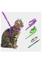 Cat Leash for Office and Home Pets - 2