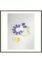 3D-Printed Daisy Flower Puzzle - Wooden Puzzle with Removable and Reattachable Leaves and Petals BX