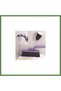Rotating-Head Cleaning Brush with Tweezers HB006