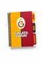 Licensed Hardcover A5 Spiral-Bound Notebook Planner, Lined and Checked, 2-Piece Set with Transparent, Colored Sticky Notes (Post-it®) and GS Pin Gift - 3