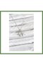 316L Stainless Steel Chain, Silver-Colored, Starfish-Design, Zircon-Set Women's Necklace HB006