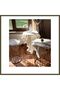Gülseda Model Cream-Cream 5-Piece Linen Tablecloth and Table Runner Set No. 896 BX