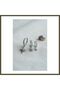 Silver-Colored North Star 3-Piece Earring Set BX