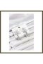 Lotus Modal Silver-Colored Zircon Earrings for Women BX