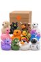 3D Printed Duck Figurine Blind Box, Random Design from 88 Collectible Ducks, Not a Bath Toy