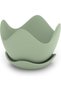 Tulip Wave Plant Pot with Saucer and Drainage Holes, Petal Rim Flower Pot for Succulents, Sage Green