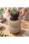 Ribbed Bubble Planter with Legs, 8.8 cm Opening, Beige - 3