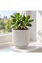 Small Ribbed Planter with Twist-Lock Drip Tray, 10.5 cm Plant Pot with 8 cm Opening and Drainage - 3