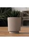 Small Ribbed Planter with Twist-Lock Drip Tray, Modern Indoor Pot for Succulents, Peach - 6