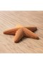 Minimalist Starfish Decorations Set of 3, 10 cm Ribbed Coastal Table Ornaments, Summer Gift, Beige - 7