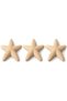 Minimalist Starfish Decorations Set of 3, 10 cm Ribbed Coastal Table Ornaments, Summer Gift, Beige