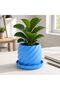 Spiral Plant Pot with Drip Tray, Twisted Spiral Planter with Drainage Holes for Succulents, Black - 6