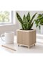 Ribbed Square Planter with Legs, 12.5 cm Opening, Modern Mid-Century Plant Pot for Indoor Plants - 3
