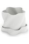 Star Plant Pot with Drip Tray, Twisted Star Shaped Planter with Drainage Holes for Succulents, White