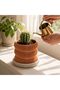 Fin Plant Pot with Drip Tray, Cacti and Small Indoor Plants, Modern Desk Pot, Greige Orange - 6