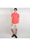 Men’s Cotton Slim Performance Polo with Small Lion Embroidery - 2