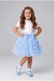 Girl's Tutu Skirt - 2