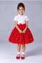 Girl's Tutu Skirt