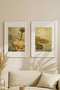 2 Pieces of White Wood-Framed Soft Botanical Paintings with a Rose and Leaf Theme, Vintage Style. - 2