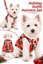 NEW YEAR'S AND CHRISTMAS-THEMED DOG CHEST HARNESS AND LEASH SET (3-PIECE SET)
