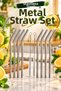 Stainless Steel Metal Beverage Straws and Straw Cleaning Brush Set, 10-Piece