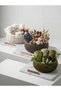Helix Modern Geometric Basket Set Presentation Bowl; Decorative Spiral Zen Decorative Fruit Bowl & Presentation Bowl 8cm Height X 23cm Diameter - 6