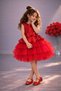 Red Girl's Tulle Evening Dress Party and Birthday Dress - 3