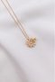 Daisy Model Butterfly Zircon Stone Stainless Steel Gold Color Women's Necklace - 5